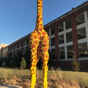 Meet your Posher, Trey